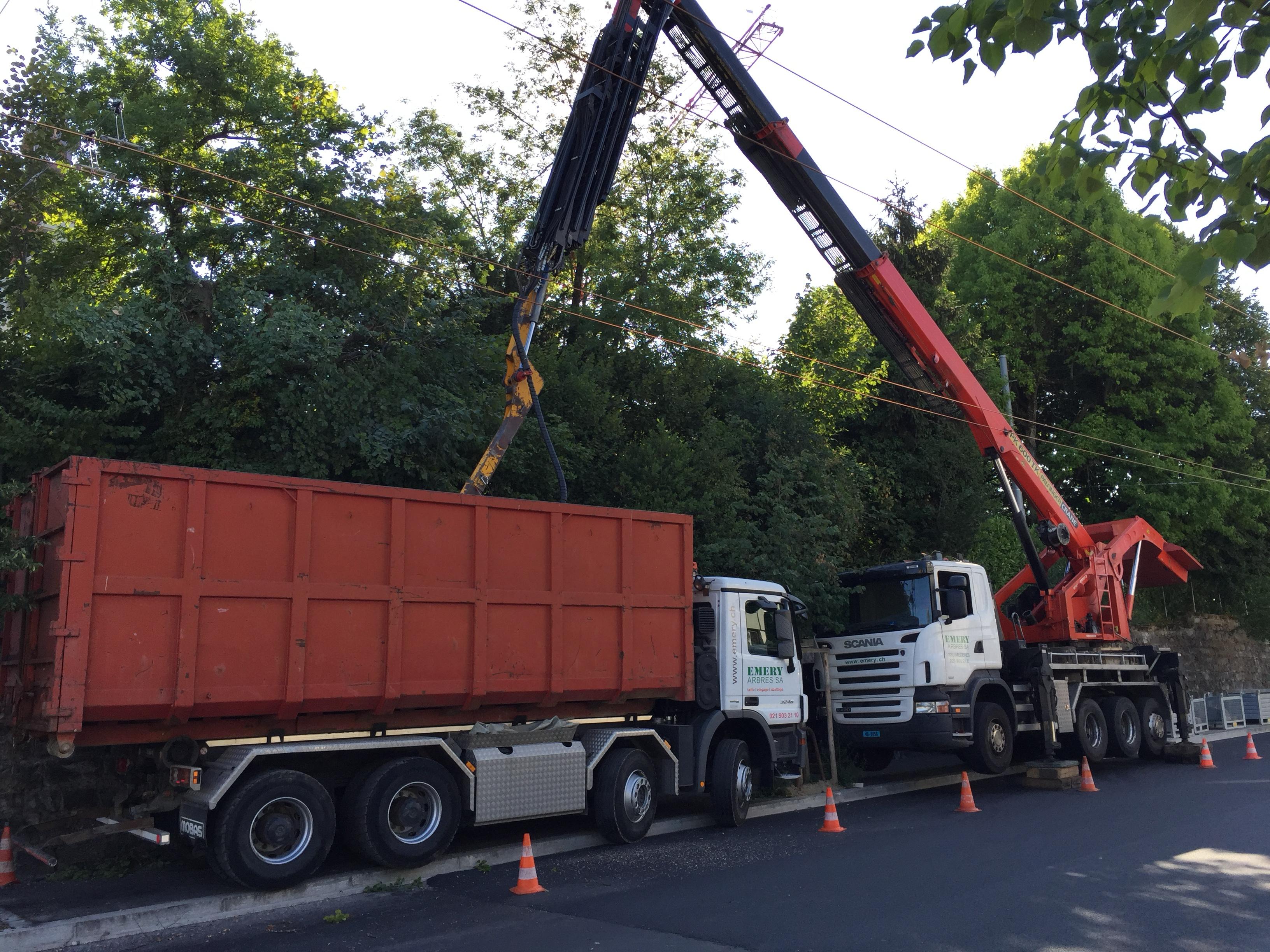 Abattage d'arbre près de lignes aériennes — SAS POLYVIER Jura